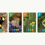 קלפים מספרים וצבעים - פרוס