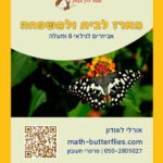 מדבקה 8-11 המארז לבית ולמשפחה3