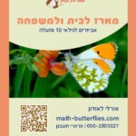מדבקה 8-11 המארז לבית ולמשפחה5