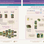 כפולות מארז כפל, שברים ועוד6