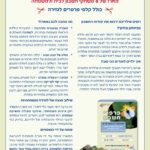 תקציר של א ב לגזירה