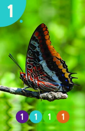 Parparim_NoNames_89X58_BIG_Page_03