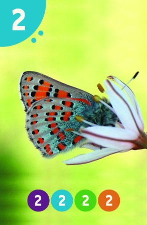 Parparim_NoNames_89X58_BIG_Page_07