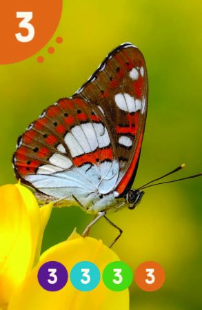 Parparim_NoNames_89X58_BIG_Page_12