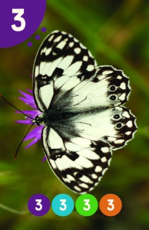 Parparim_NoNames_89X58_BIG_Page_14