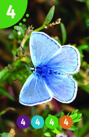 Parparim_NoNames_89X58_BIG_Page_17