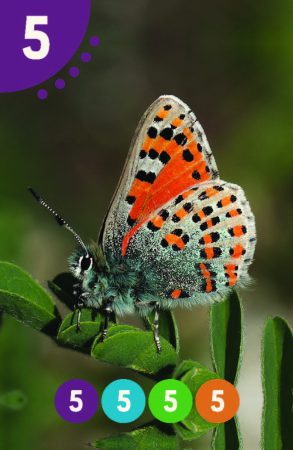 Parparim_NoNames_89X58_BIG_Page_22