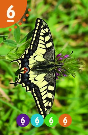 Parparim_NoNames_89X58_BIG_Page_24