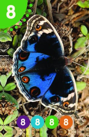 Parparim_NoNames_89X58_BIG_Page_33