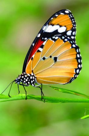 Parparim_NoNames_89X58_BIG_Page_41